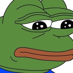 Meet your Posher, Elsie